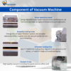 DZ-600 External Chamber Vacuum Sealing Machine – Heavy Duty Industrial Vacuum Sealer