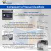 DZ-500 Double Chamber Vacuum Sealing Machine – High Efficiency Commercial Vacuum Sealer