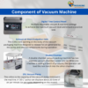 DZ-600 Double Chamber Vacuum Sealing Machine – Heavy Duty Industrial Vacuum Packaging Machine